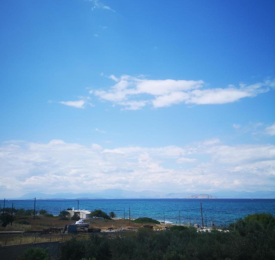 El Verde Apartments Skála 외부 사진